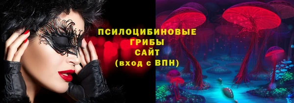 меф Богородицк
