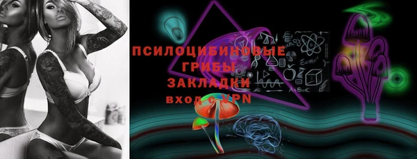 меф Богородицк