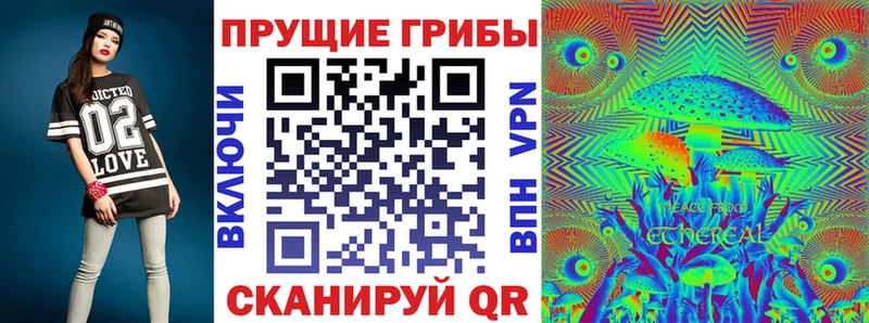 Псилоцибиновые грибы GOLDEN TEACHER  закладки  ОМГ ОМГ ссылки  Комсомольск-на-Амуре 